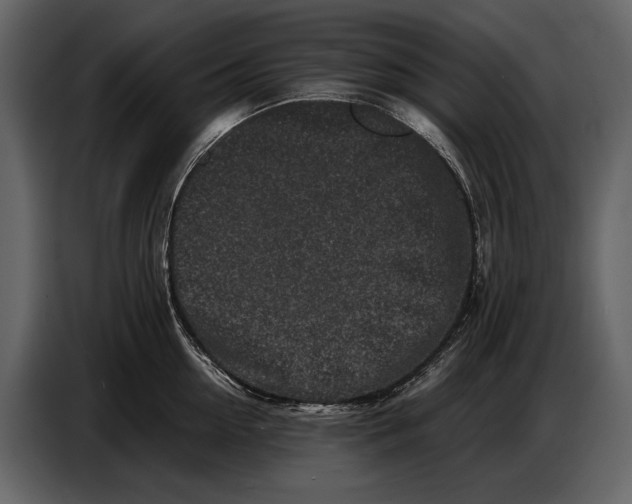 X0000086960954200705071333