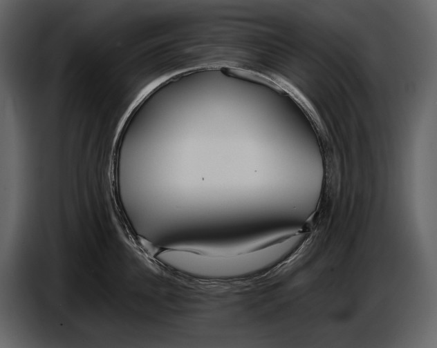 X0000086960956200705071333