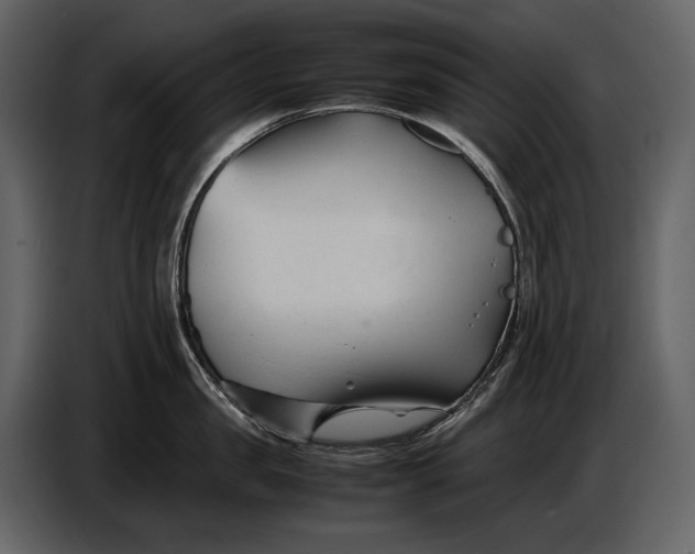 X0000086960957200705071333