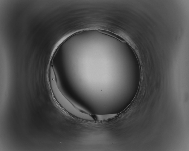 X0000086960960200705071333