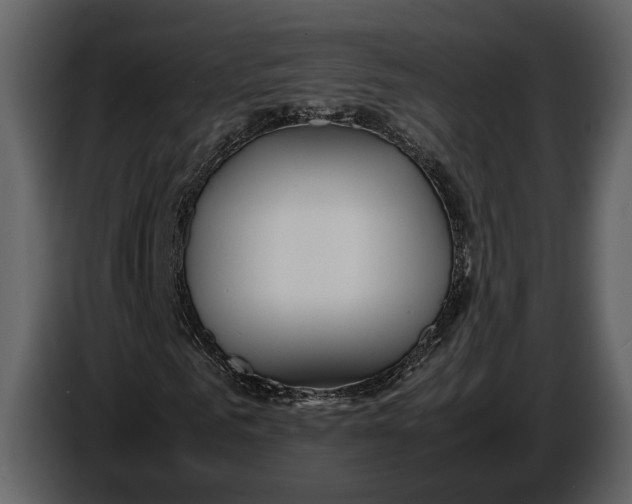 X0000086960961200705071333