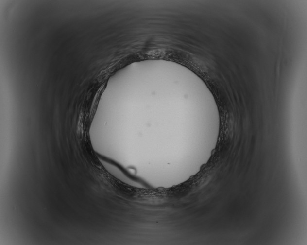 X0000086960962200705071333