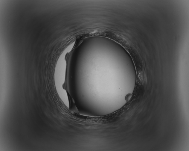X0000086960963200705071333