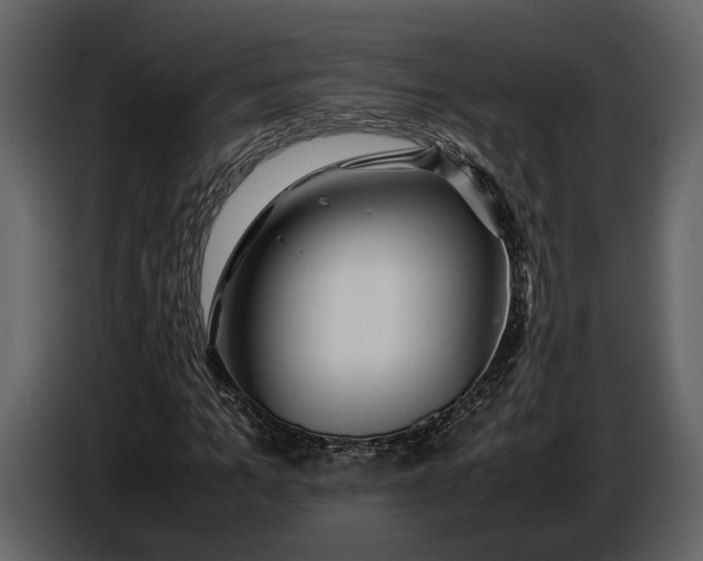 X0000086960965200705071332