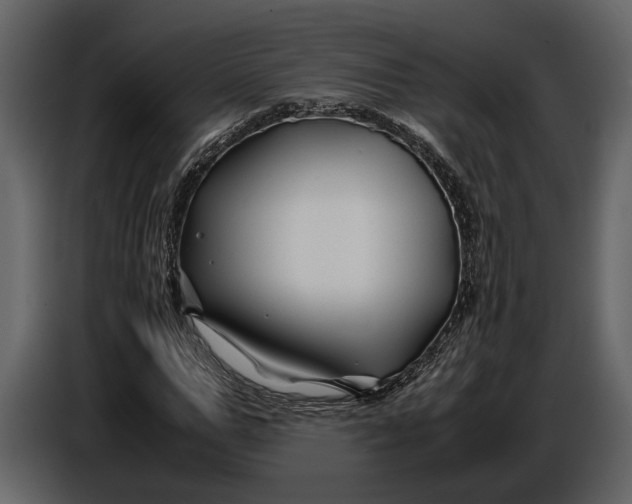 X0000086960967200705071332