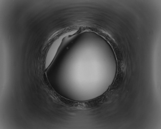 X0000086960968200705071332