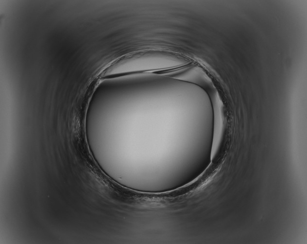 X0000086960969200705071332