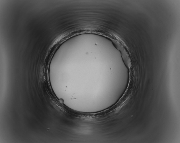 X0000086960970200705071332