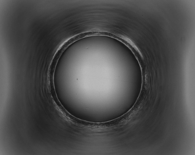 X0000086960972200705071332