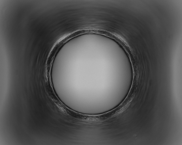 X0000086960974200705071332