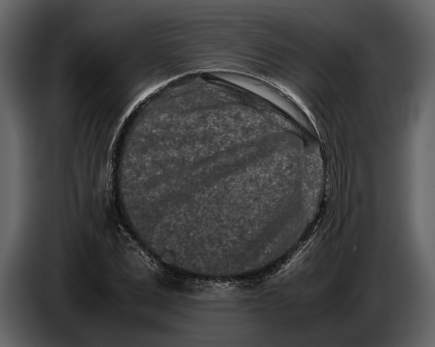 X0000086960975200705071332
