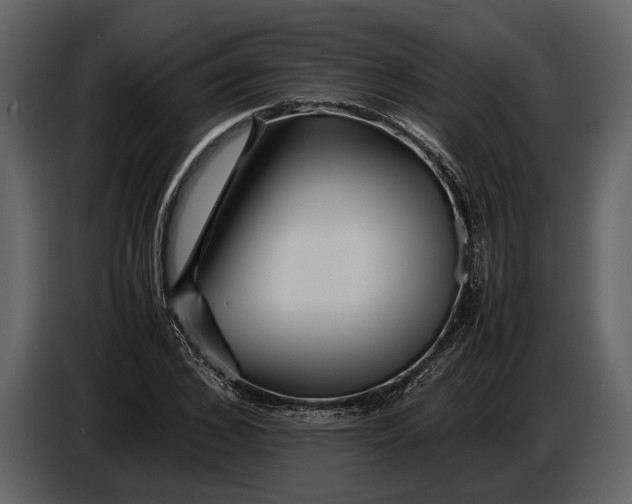 X0000086960976200705071332