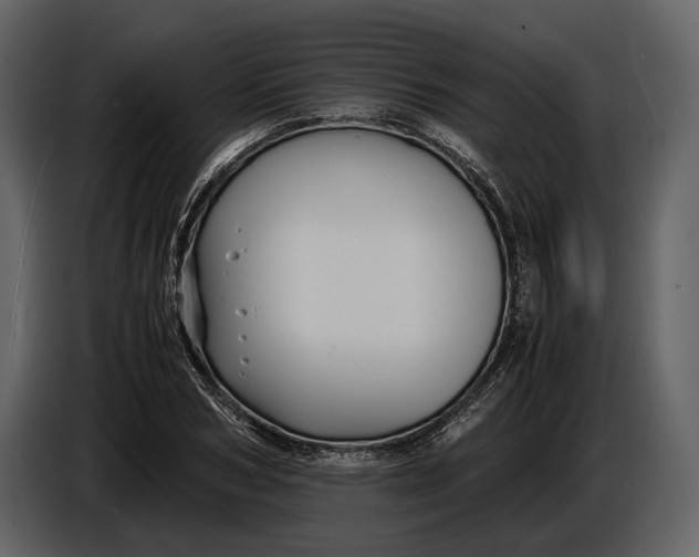 X0000086960978200705071332