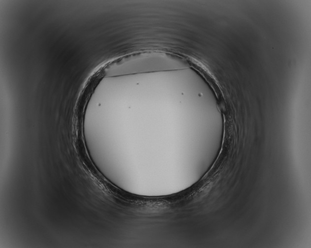 X0000086960979200705071332