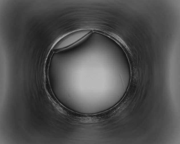X0000086960980200705071332
