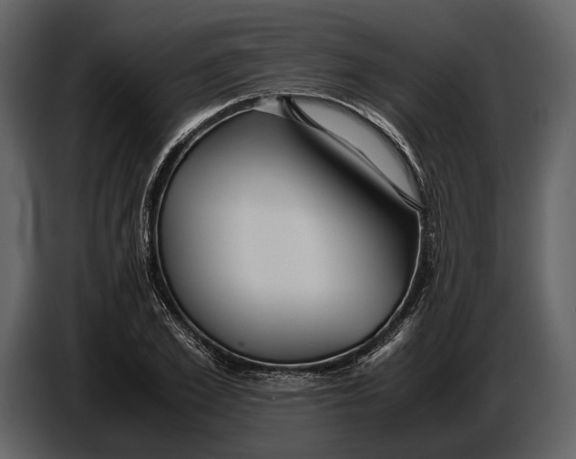 X0000086960981200705071332