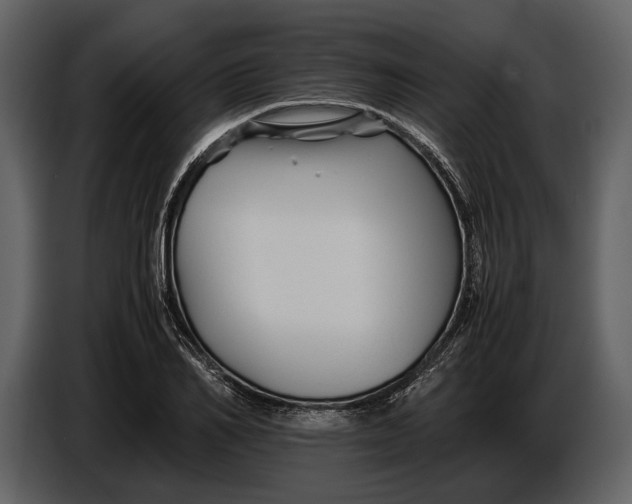 X0000086960982200705071332