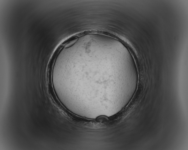 X0000086960983200705071332