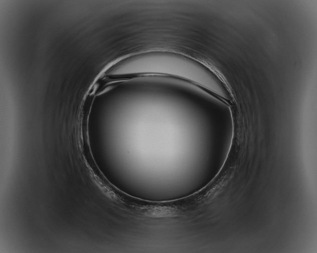 X0000086960984200705071332
