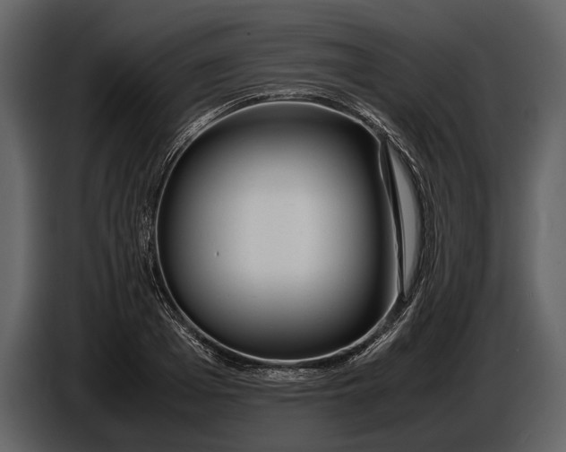 X0000086960985200705071332