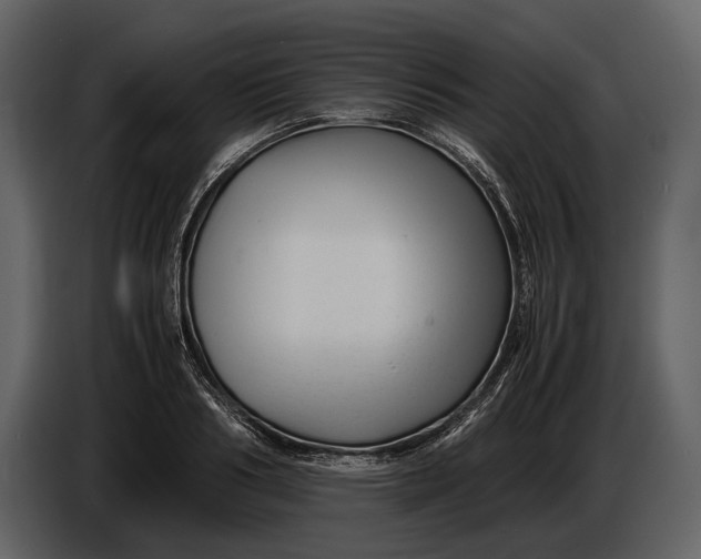 X0000086960986200705071332