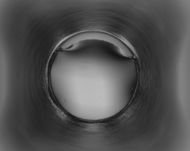 X0000086960988200705071332