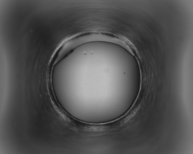 X0000086960989200705071332
