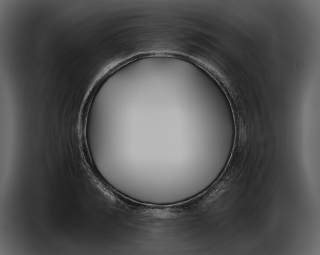 X0000086960990200705071332