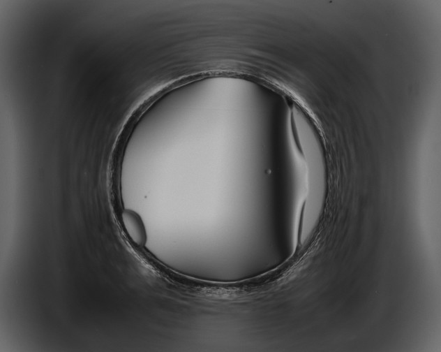 X0000086960991200705071332
