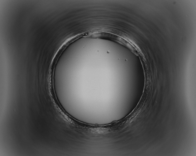 X0000086960992200705071332