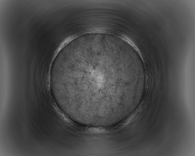 X0000086960994200705071332