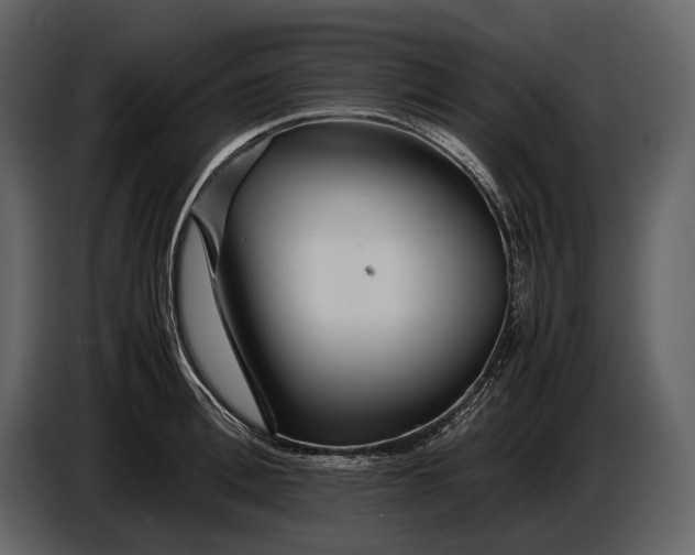 X0000086960996200705071332