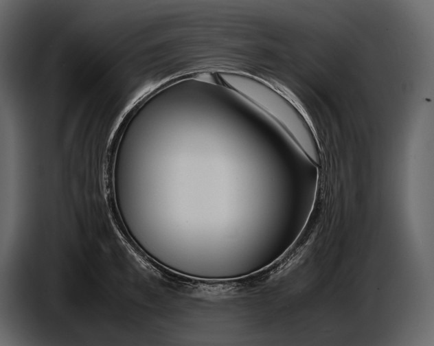 X0000086960997200705071332