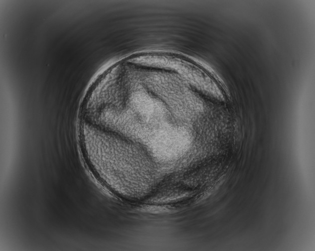 X0000086960998200705071332