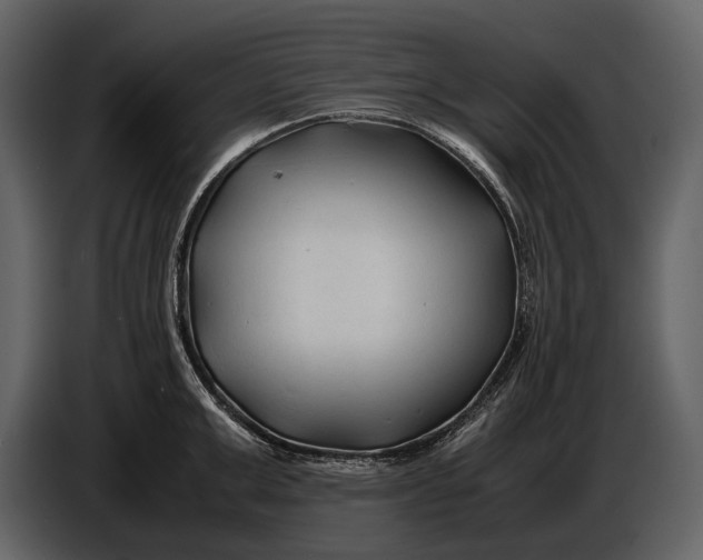 X0000086960999200705071332