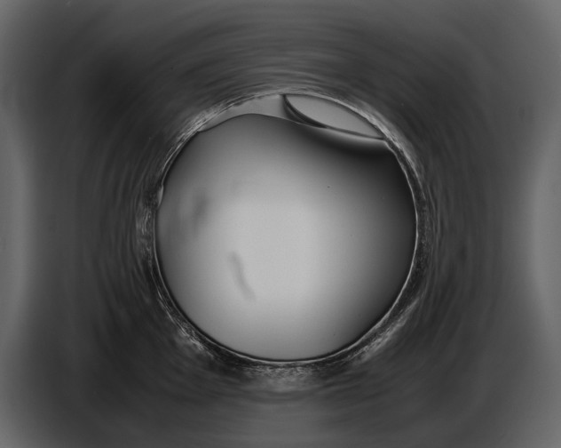 X0000086961001200705071332