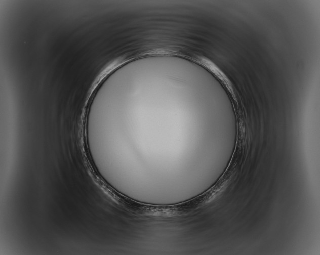 X0000086961002200705071332
