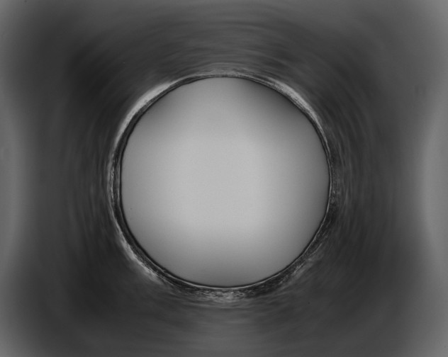X0000086961003200705071332