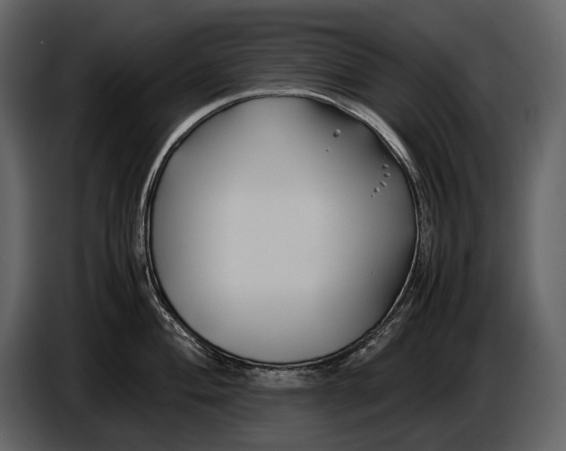 X0000086961004200705071332