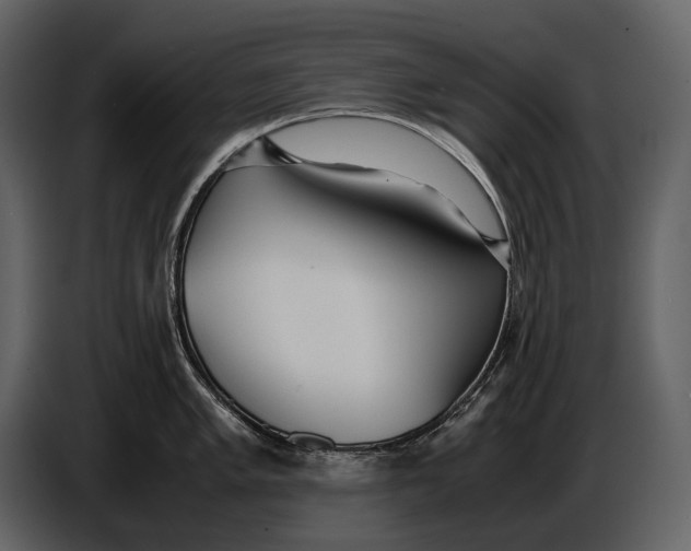 X0000086961005200705071332