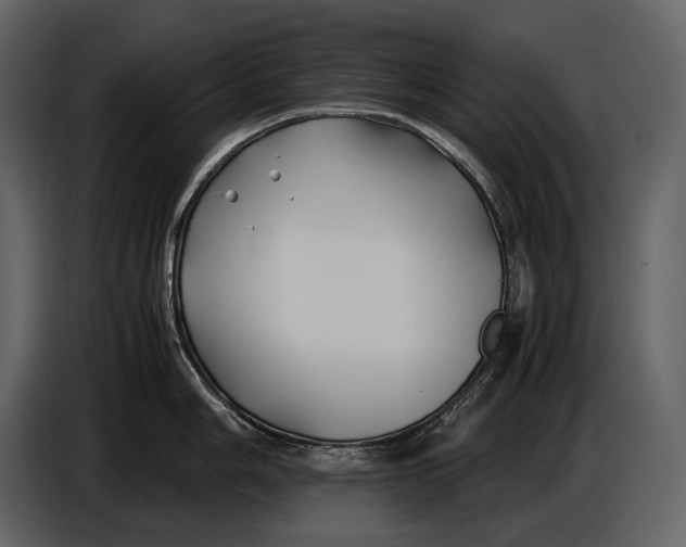 X0000086961006200705071332