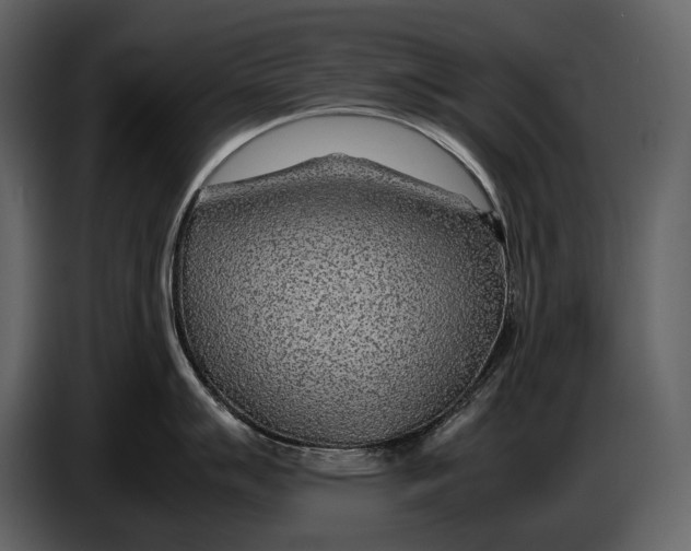 X0000086961007200705071332