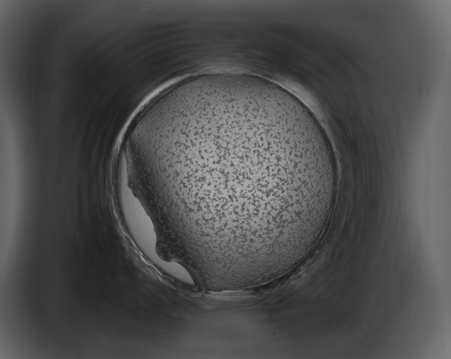 X0000086961008200705071332