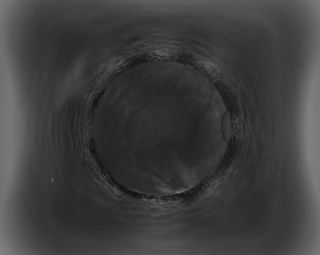 X0000086961009200705071331