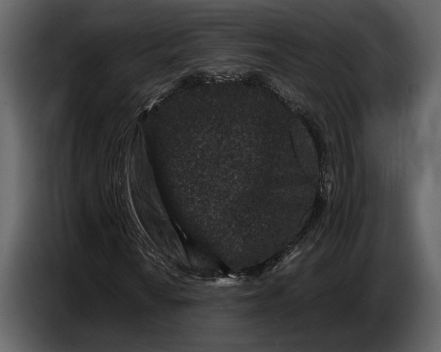 X0000086961010200705071331