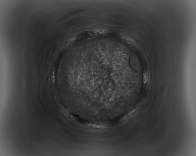 X0000086961011200705071331