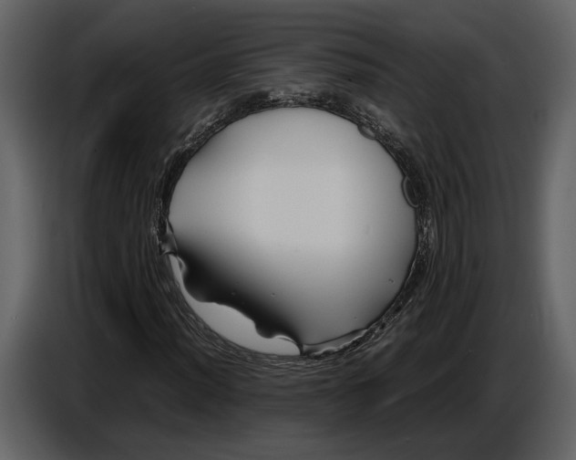 X0000086961012200705071331