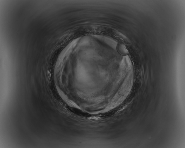 X0000086961013200705071331