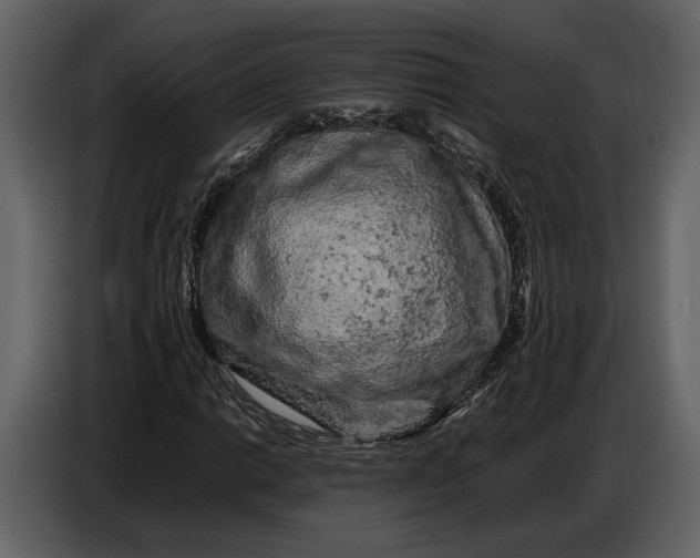 X0000086961014200705071331