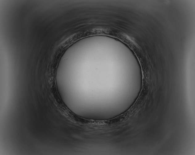 X0000086961015200705071331